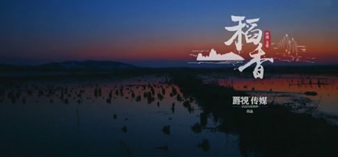 《稻香》预告片摄影篇