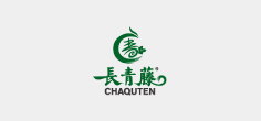 长青藤汽车用品品牌VI设计